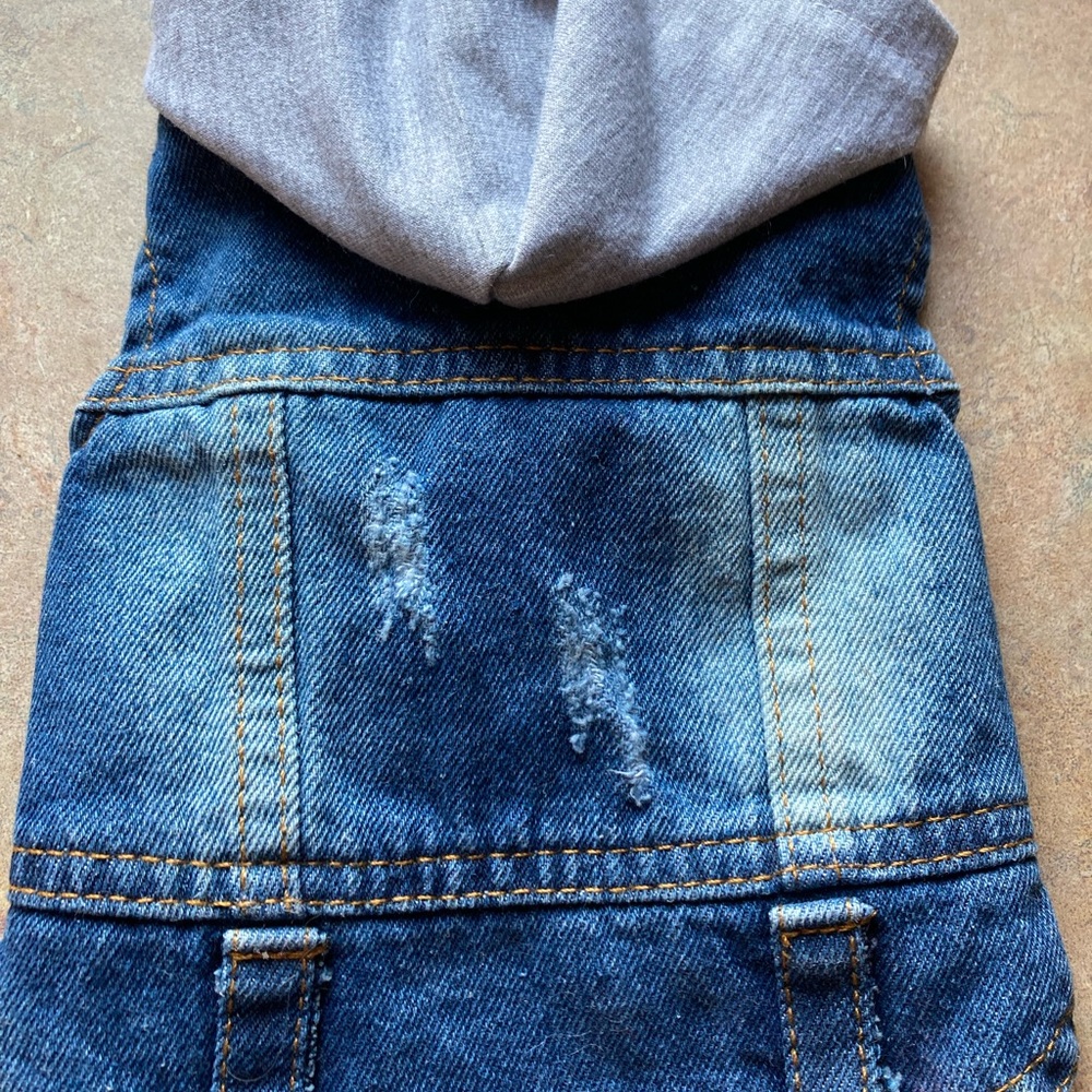 Dog XS Jean Jacket Vest with Grey Hood